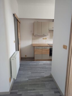 Slunný byt 2+kk (54 m²) k pronájmu Doksy - 7