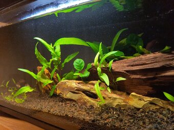Xiaomi Mijia Smart Fish Tank MYG100 - nové akvarium 20l - 7