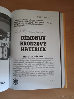 David Pastrňák Démon z Havířova - 7