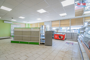 Prodej komerčního objektu, 320 m², Zalužany - 7