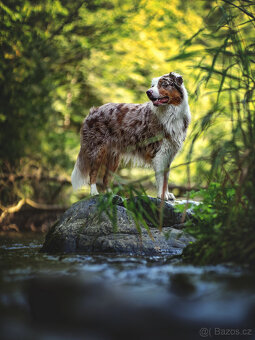 Meopta Meostigmat 77/1,7 Sony E a další - 7