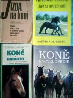 Opravdový koníček, koně a hříbata. - 7
