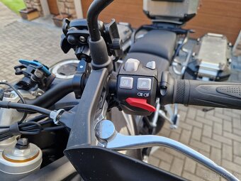 Triumph Tiger 900 Rally Pro 2024 DPH - 7