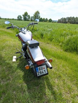 Yamaha XVS 650 Dragstar - 7