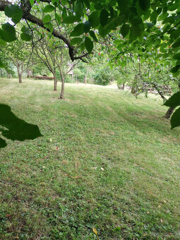 RD s pozemkem 6175m2 Závišice - 7