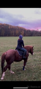 Prodám valáška - 7