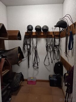 Pastevní ustájení Svojetice - 7