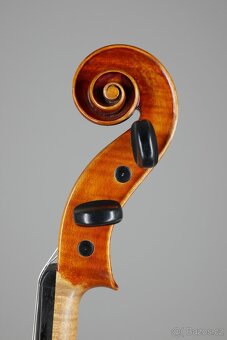 Mistrovské housle - Herbert Stengel - 7