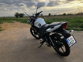 Yamaha YS125 - 7