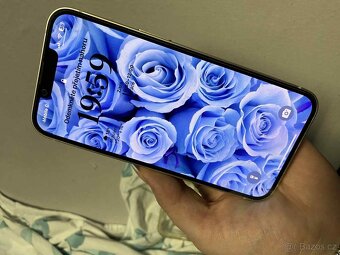 iPhone 13 -128gb - 7