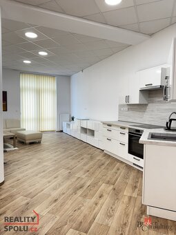 Pronájem, byty/3+kk, 110 m2, Havlíčkova 2370, Místek, 73801 - 7