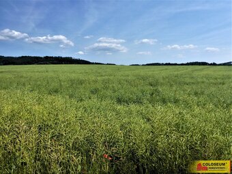 Letovice - zemědělská půda  7 225 m² - pozemek - 7