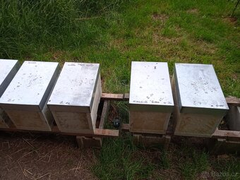 Včelí odděleky - 7