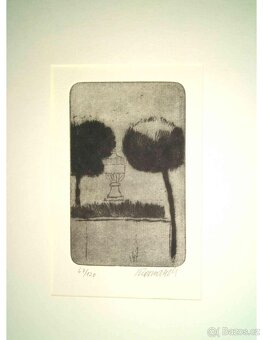 Vladimír Komárek - grafika 1.část - 7