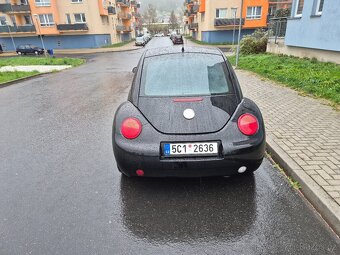 VW New Beetle - 7