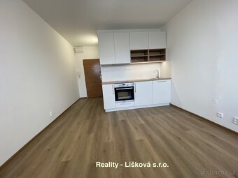 Pronájem nově zrekonstruovaného bytu 1kk s lodžií ul. Malát - 7
