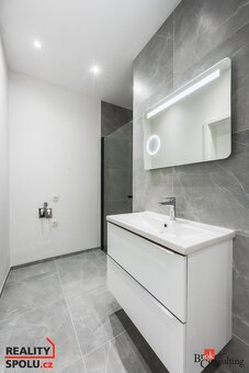Pronájem, byty/1+1, 47 m2, 28. října 437/217, Mariánské Hory - 7