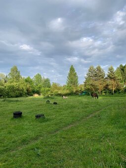 Nabízím netradiční ustájení 24/7 - 7