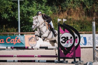 Pony kobylka 13let - 7