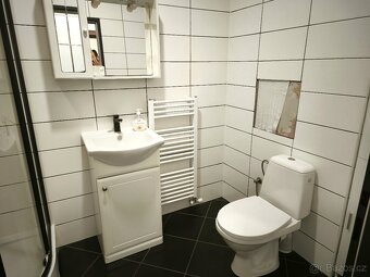 Pronájem bytu 1+1, ca36m2, s okny do zahrady, Chrastava - 7