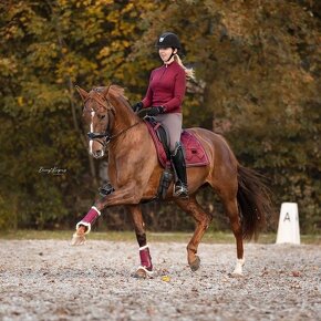 Equestrian Stockholm Bordeaux DL - 7