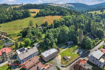Prodej, pozemky/bydlení, 2963 m2, Olešnice v Orlických horác - 7