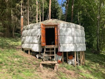 Prodej pozemku - louka, les - 7