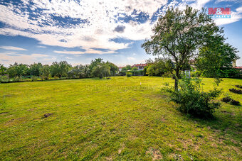 Prodej pozemku k bydlení, 1676 m², Dašice - 7