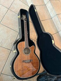 Ibanez Egen 8 el. kytara, Takamine Limited 6 a 12, Vitaso... - 7