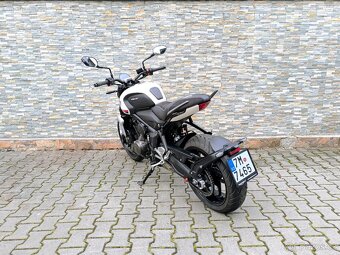 TRIUMPH Trident 660 - 7