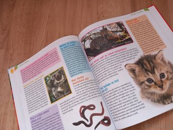 Kniha - Nejzvídavější dětské otázky - 7