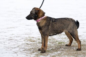 Jasabell rozkošne stenatko - 7