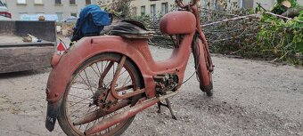 Jaweta-Sport - 7