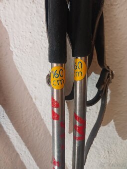 Běžky Artis Polar - 7