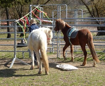 Prodám klisnu WPBr s PP, - 7