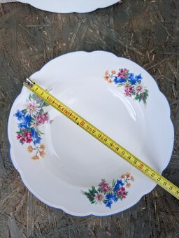 2ks vintage talíře, Alpeflora, zn.Altrohlau MZ. - 7