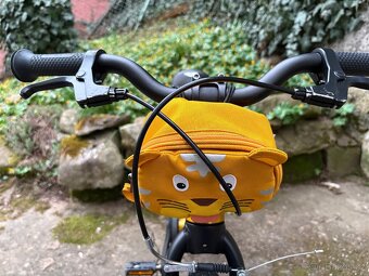 Kolo Rascal 16 Zlaté - 7