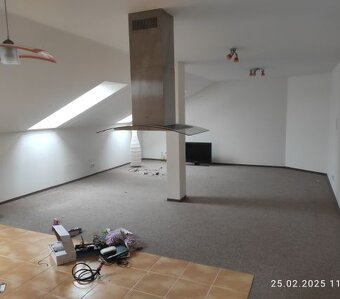 Bytová jednotka 2+kk, č. jednotky 132/9 včetně podílu na spo - 7