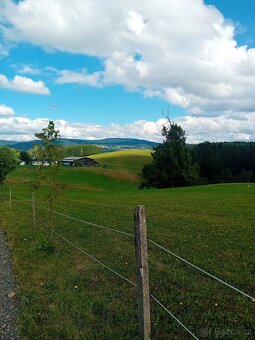 Pastevní ustájení - 7