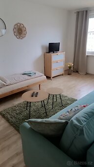 Pronájem bytu- Vyšší Brod 1+1 - 7