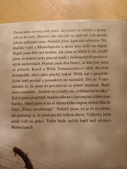 Henry - Katrina Shawverová - 7