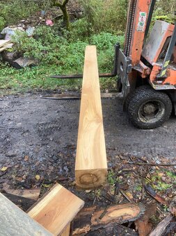 Jasanové trámy - 7