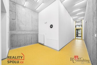 Pronájem, byty/4+kk, 118.49 m2, U Borského parku, Jižní Před - 7