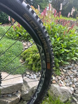 Canyon Stoic 3 vel. L - 7