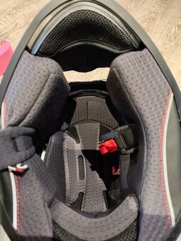 Helma Cassida ATCK - 7