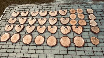 Držák jmenovek bříza - 7