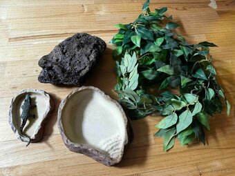 Terárium 90×45×45 s vybavením - 7