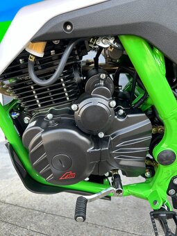 Pitbike By Apollo THUNDER 250ccm 21 18 - 7