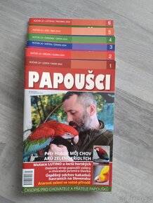 Papoušci - 7