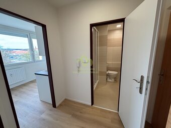 Rokycany- pronájem dr. bytu 1+1 po rekonstrukci s lodžií v m - 7